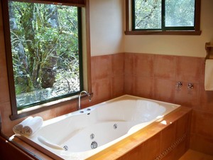 Cradle Mountain Highlanders Cottages Pic 4 - Mountain View Spa Bath