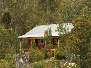 Cradle Mountain Highlanders Cottages Pic 3 - Rustic Bushmans Hut in Spring