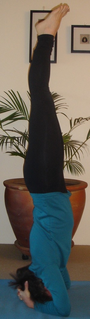 Vim Lane Yoga Pic 5