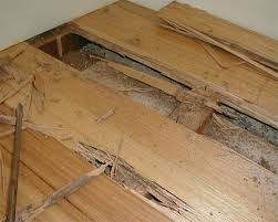 Dunn-Rite Pest Solutions Pic 4 - Termite damage timber floor