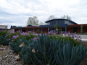 Wodonga Primary School Pic 2 - Courtyard