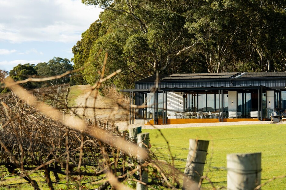 Adelaide Hills Wine Tours Pic 1 - Modern minibus parked in a scenic Adelaide Hills location ideal for group wine tours private tastings and exploring winery destinations