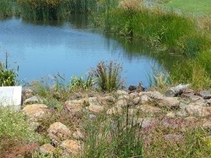 Elsternwick Golf Course Pic 5