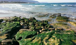 Towers Counselling Pic 4 - The Illawarra stunning coastal scenery for Walk and Talk Therapy