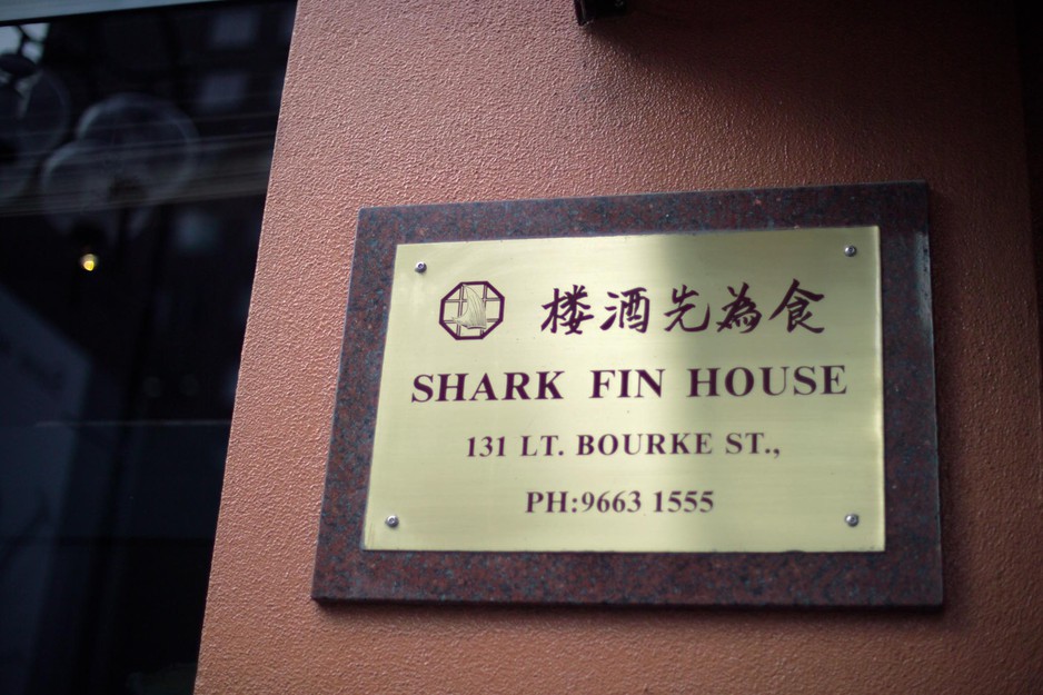 Shark; Fin House Pic 1