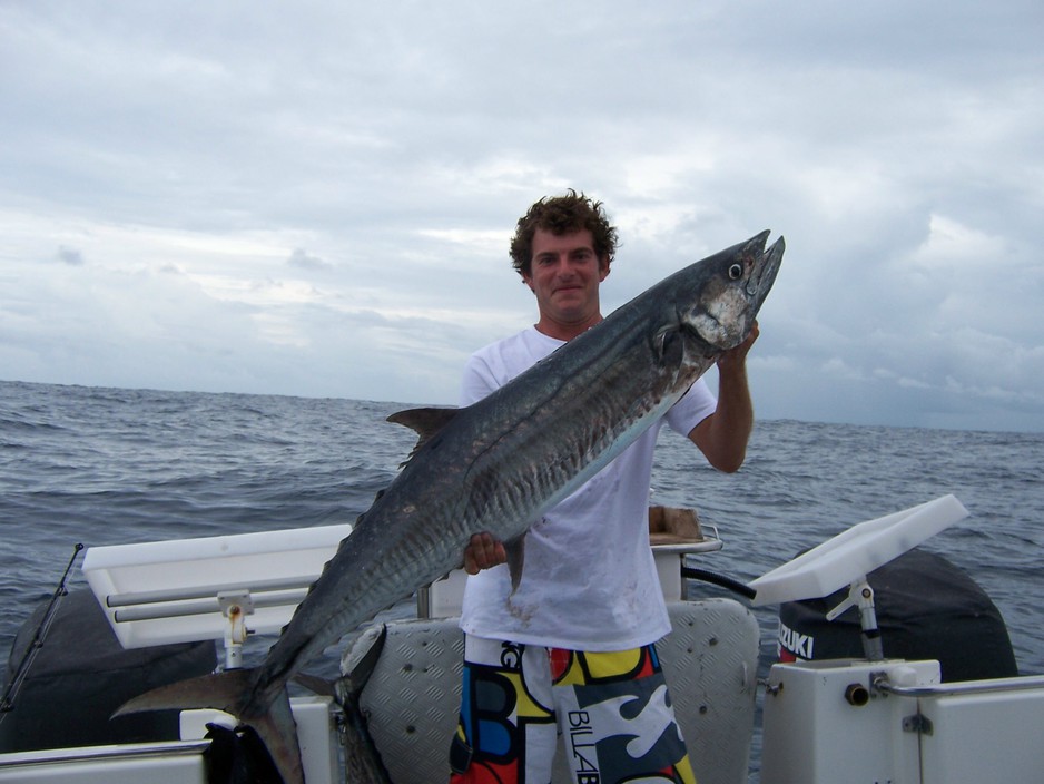 Odyssey Charters Pic 1 - spanish mackrel