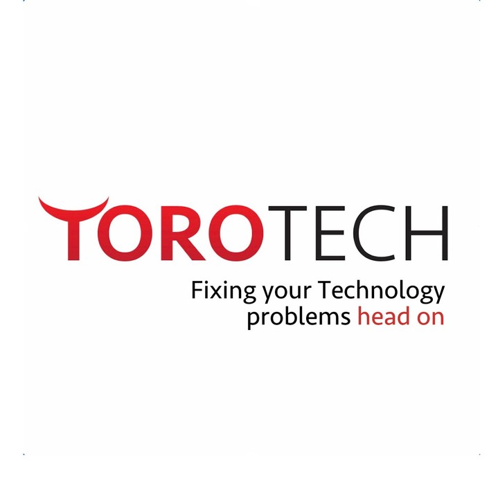 Toro Tech Pic 1