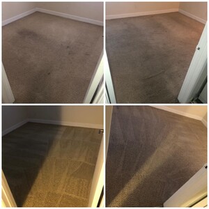 Carpet Stain Removal Service Pic 5