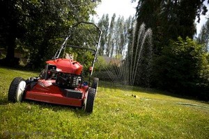 Canada Bay Lawn Mowing Service Pic 2 - lawn care