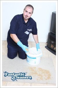 Fantastic Carpet Cleaners Pic 5 - Spot treatment