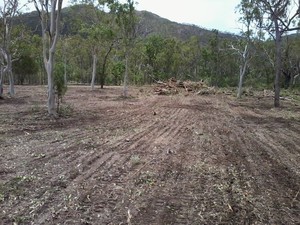 Greg Cummings- Small Dozer Hire Pic 2 - after clearing