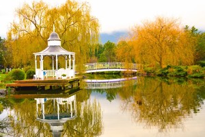 Lakeside Cottage Pic 4 - Lake in autumn