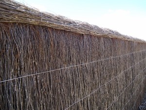 Goanna Brush Fencing Pic 3