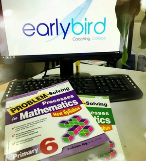 Earlybird Coaching College Pic 4 - Problem Solving Processes in Mathematics