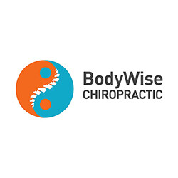 BodyWise Chiropractic Pic 1