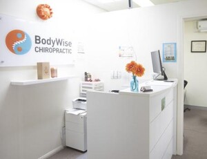 BodyWise Chiropractic Pic 4