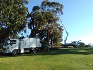 Horizon Tree Service Pic 5 - Tree work at New Town Bay Golf Course