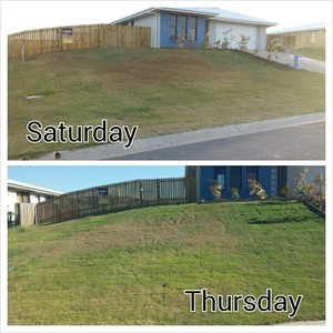 Top Notch Lawn & Gardening Services Pic 3