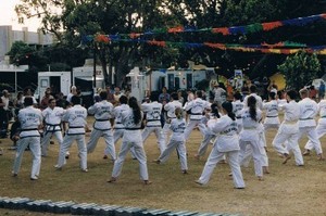 RHEE Tae Kwon-Do Pic 2