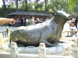 Lok Tin Feng Shui and Chinese Astrology Pic 1 - ox in big scale fs to prevent flooding ox can reduce excessive water energy