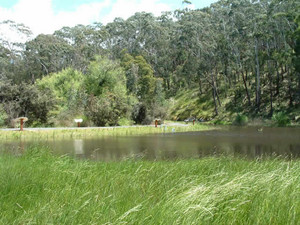 Central Highlands Water Pic 3