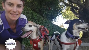 Happy Pet Helpers Pic 3 - Harry and Charlie on their regular wednesday half hour walk