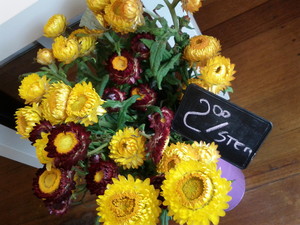 Flowers Melb Pic 2 - Cheap flowers Melbourne