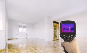 Hertz Pest Control Pic 3 - RADIO METRIC THERMAL IMAGING TECHNOLOGY TRAINED TERMITE INSPECTOR