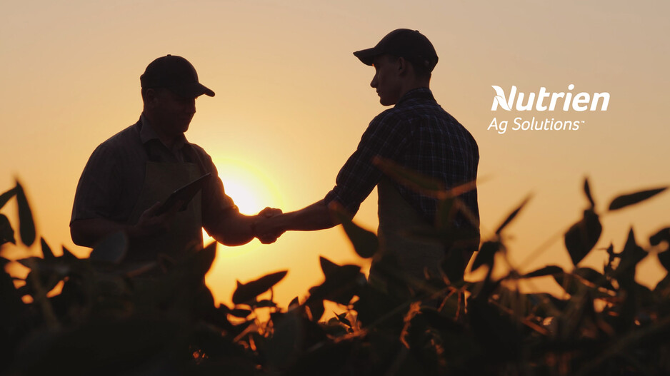 Nutrien Insurance Pic 2