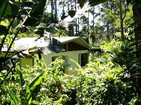 Kuranda Rainforest Accommodation Park Pic 1 - Kuranda Rainforest Accommodation Park