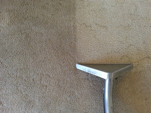 Regency Carpet Cleaning Sunshine Coast Pic 3