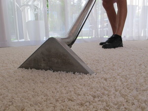 Regency Carpet Cleaning Sunshine Coast Pic 5