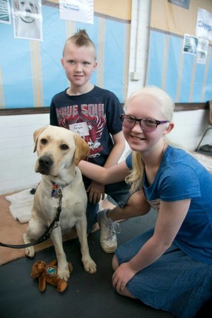 Seeing Eye Dog Australia Pic 4