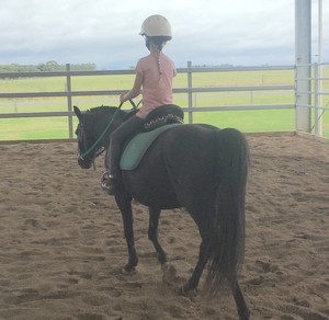 Whitethorn Academy Pic 5 - Quiet welltrained ponies and horses Perfect for beginners