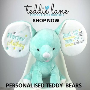 Teddie Lane Pic 2