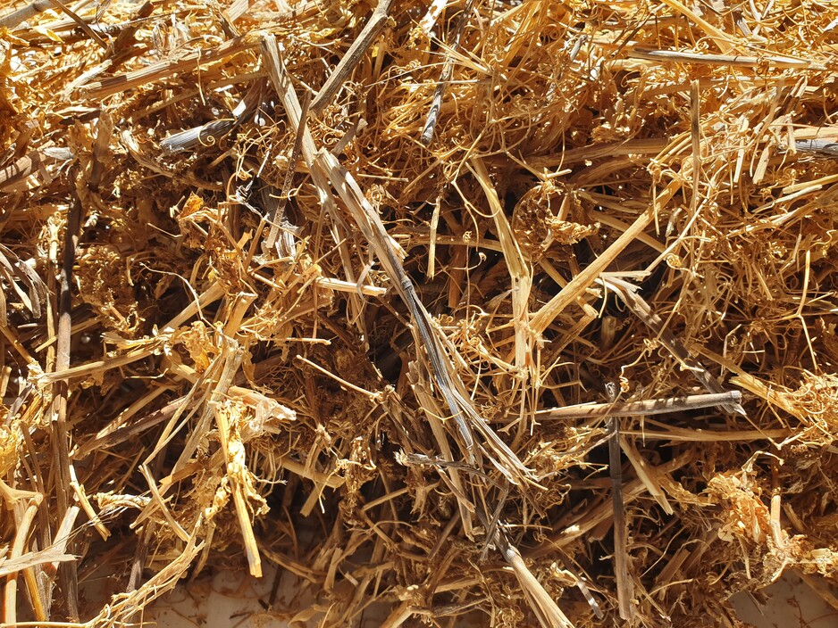 Garden In A Bag Pic 1 - Barley Straw