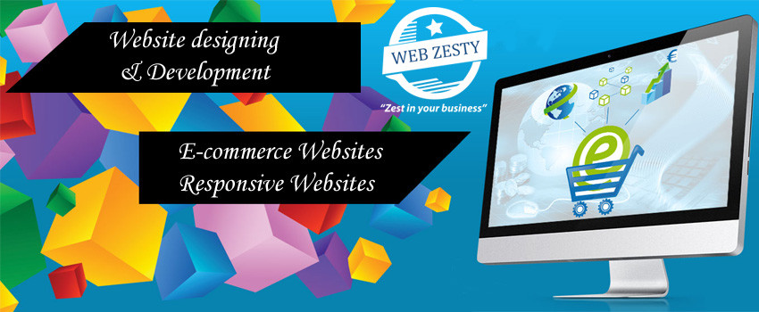 Webzesty Pic 1 - ecommerce website design