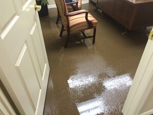 Water Damage Specialist Sydney Pic 2