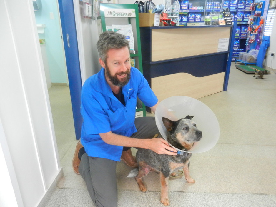 Yandina Veterinary Clinic Pic 1 - Dr Tom