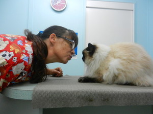 Yandina Veterinary Clinic Pic 4 - Nurse Cathy