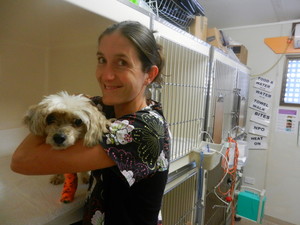 Yandina Veterinary Clinic Pic 3 - Nurse Dawn