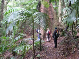 Binna Burra Lodge Wedding Venues Pic 1 - Binna Burra Mountain Lodge walkers on Coomera Circuit