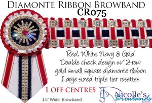 Nicolle's Browbands Pic 2