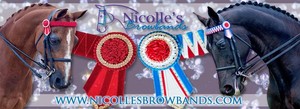 Nicolle's Browbands Pic 4