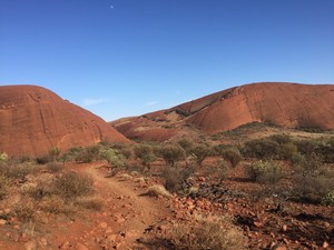 Parks Australia - Uluru-kata Tjuta National Park Pic 4