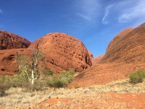 Parks Australia - Uluru-kata Tjuta National Park Pic 3