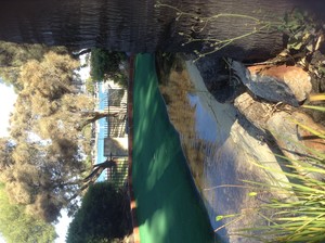 King's Carnival Pic 2 - Hole 3 mini golf with water flowing next to hole