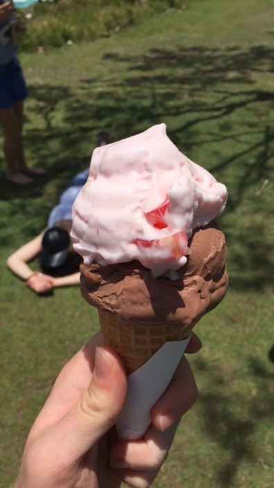 Oceanic Gelati and Coffee Bar Pic 1 - Turkish delight icecream is an absolute delight