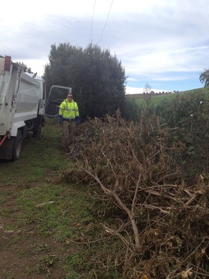 Bag Brothers Rubbish Removal Pic 2 - Bulk green waste Too easy