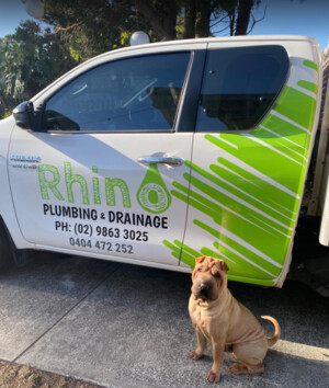 Rhino Plumbers Pic 5